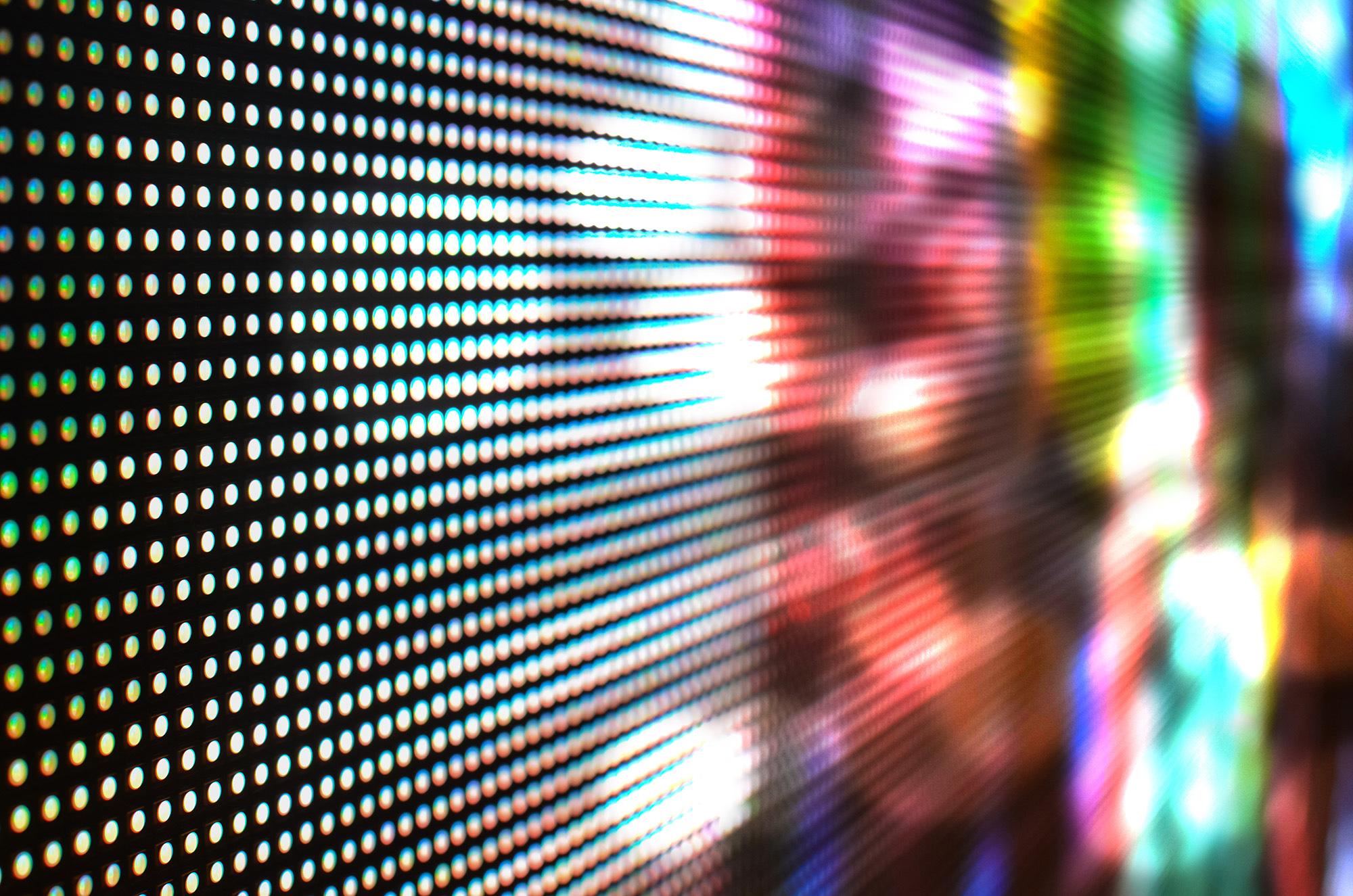 �������������L(zh��ng)����